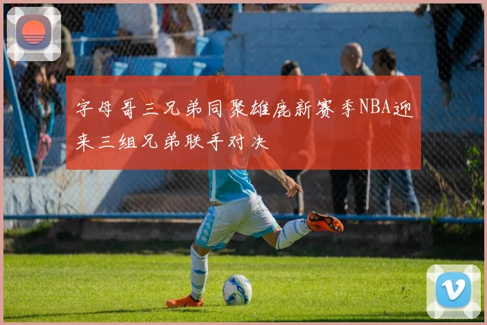 字母哥三兄弟同聚雄鹿新赛季NBA迎来三组兄弟联手对决