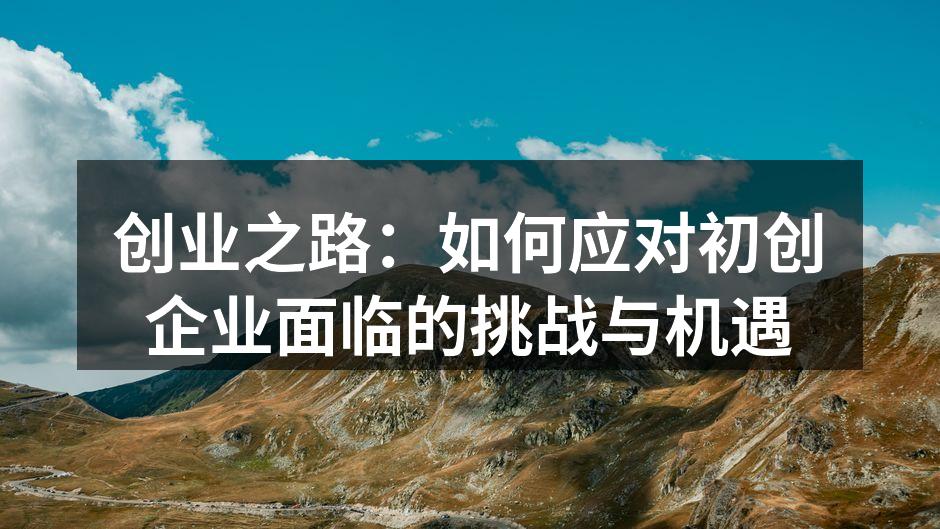 创业之路：如何应对初创企业面临的挑战与机遇